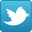 Condividi su Twitter